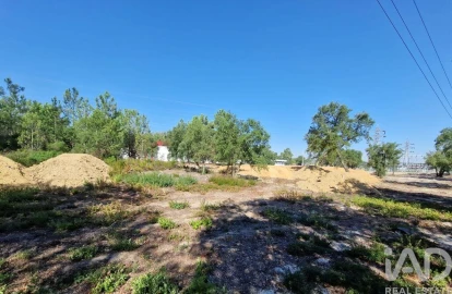 Terreno para Venda em Fernao Ferro