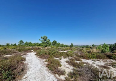 Terreno para Venda em Fernao Ferro