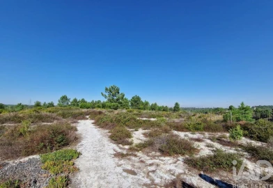 Terreno para Venda em Fernao Ferro