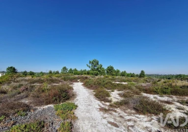 Terreno para Venda em Fernao Ferro