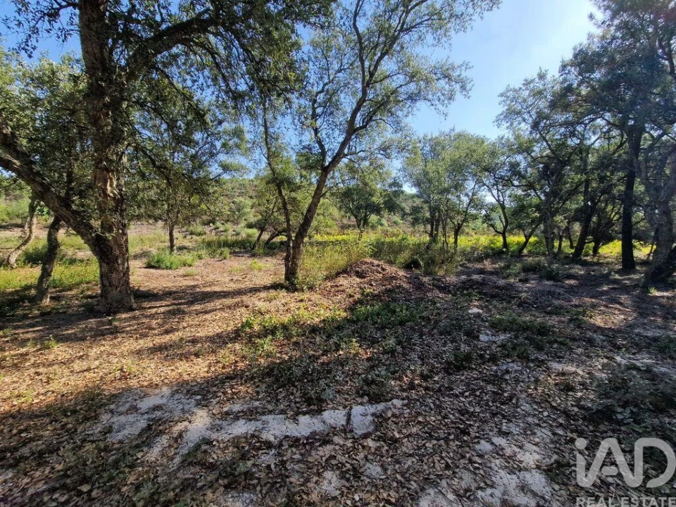 Terreno para Venda em Fernao Ferro Foto 24