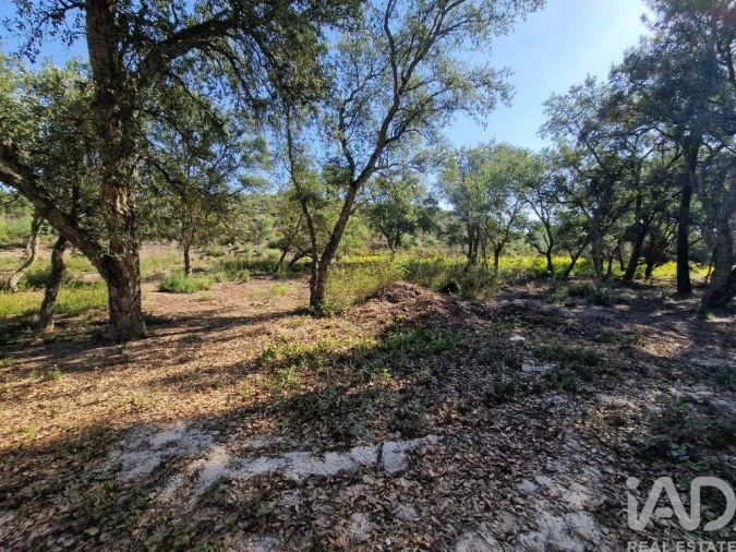 Terreno para Venda em Fernao Ferro Foto 5
