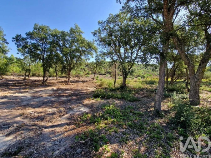 Terreno para Venda em Fernao Ferro Foto 12