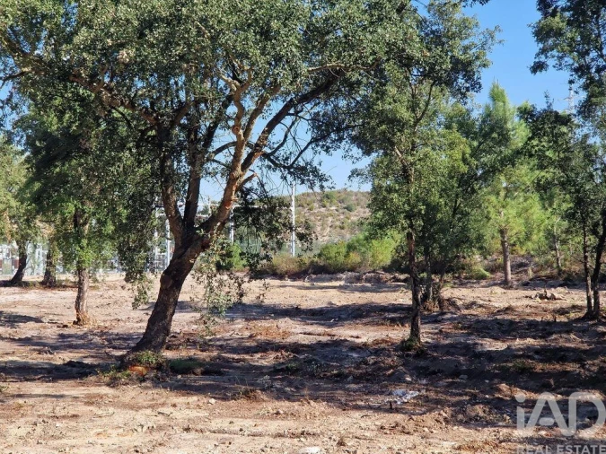 Terreno para Venda em Fernao Ferro Foto 13