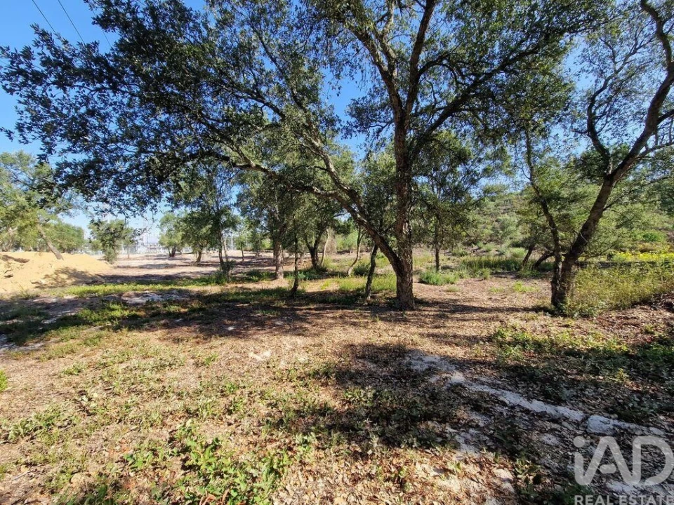 Terreno para Venda em Fernao Ferro Foto 10