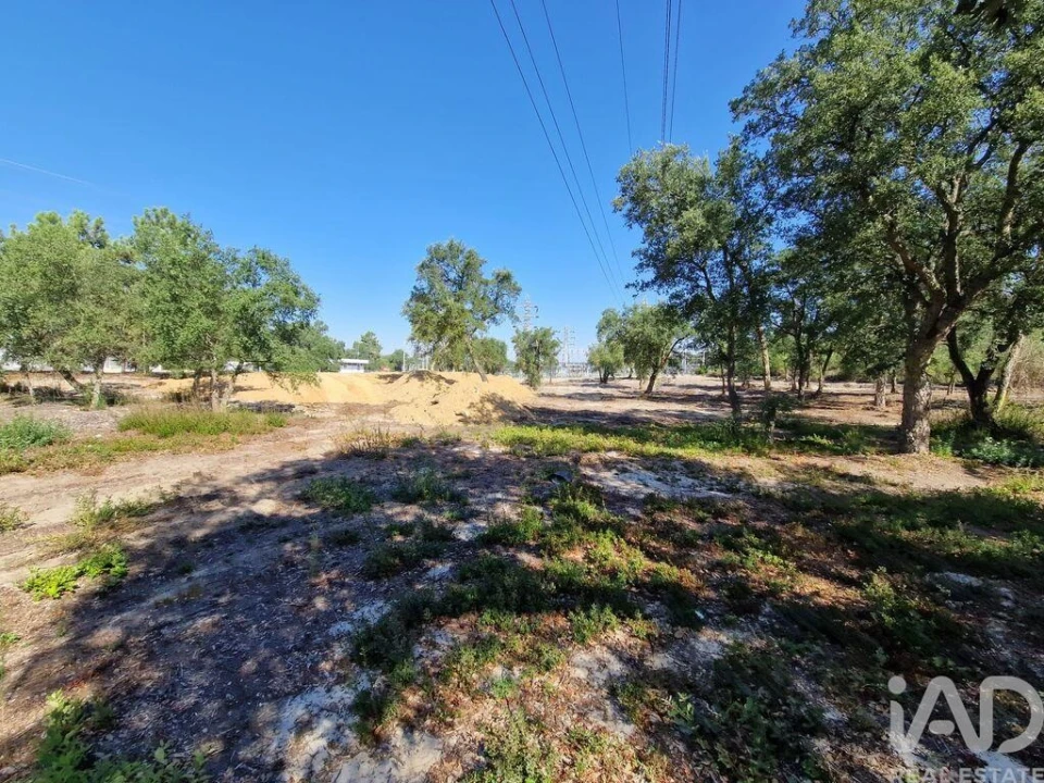 Terreno para Venda em Fernao Ferro Foto 16