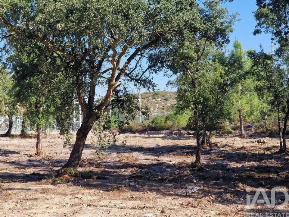 Terreno para Venda em Fernao Ferro Foto 13