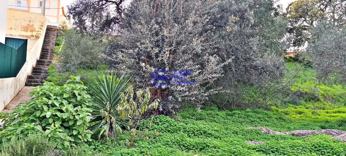 Terreno para Venda em Silves Foto 4