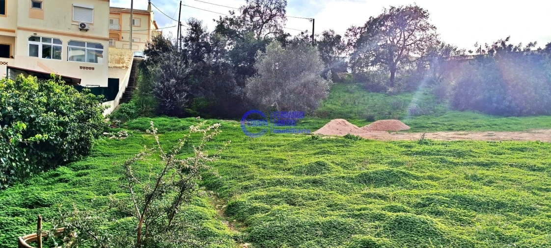 Terreno para Venda em Silves Foto 6
