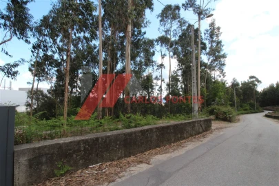 Terreno para Venda em Cruz