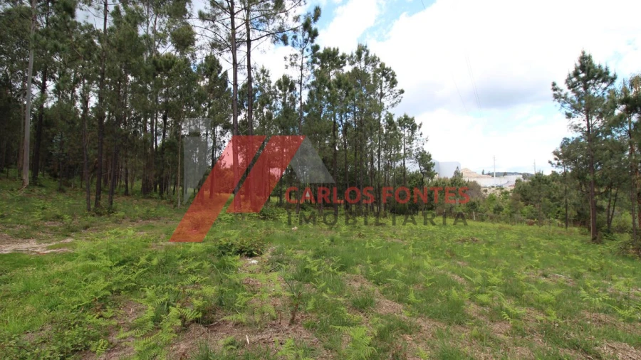 Terreno para Venda em Cruz
