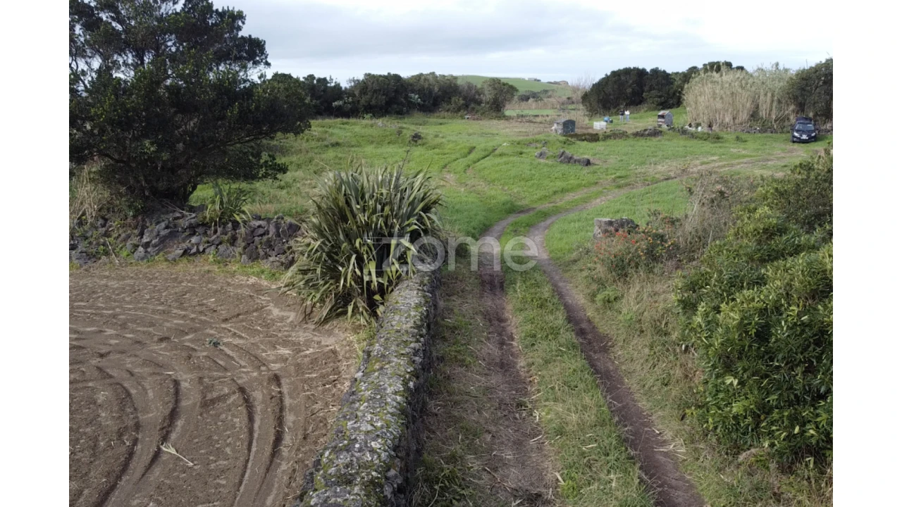 Terreno para Venda em Ribeirinha Foto 9
