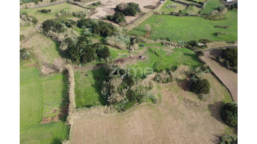 Terreno para Venda em Ribeirinha Foto 6