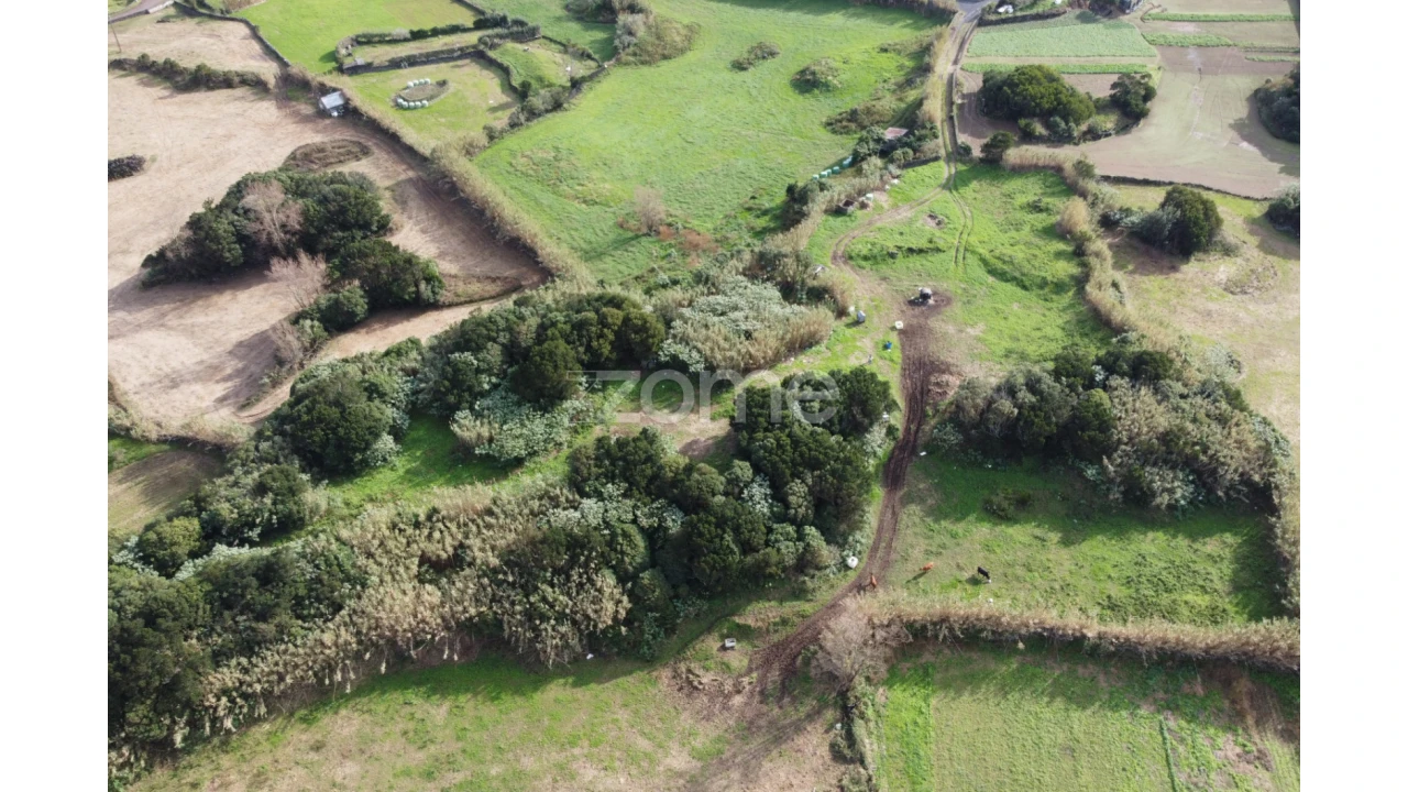 Terreno para Venda em Ribeirinha Foto 4