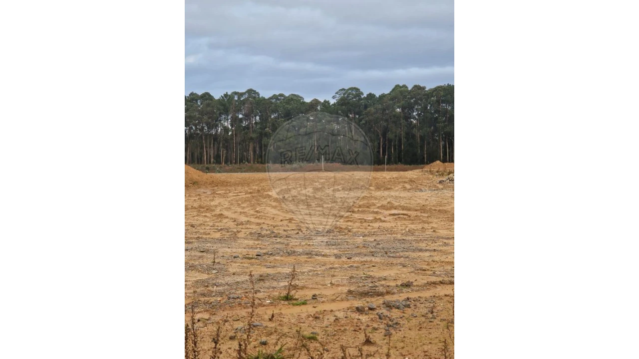 Armazém para Venda em São João de Ver Foto 3