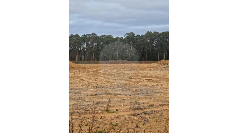 Armazém para Venda em São João de Ver Foto 3