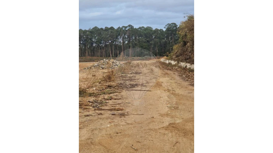 Armazém para Venda em São João de Ver Foto 2
