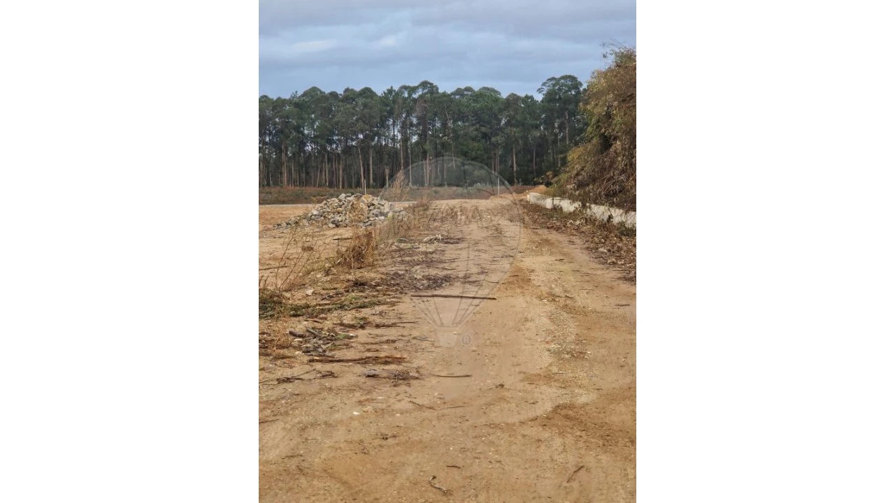 Armazém para Venda em São João de Ver Foto 2