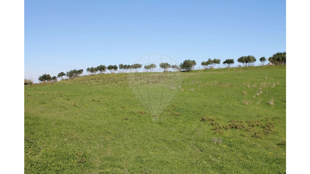 Terreno para Venda em Aveiras de Baixo Foto 17