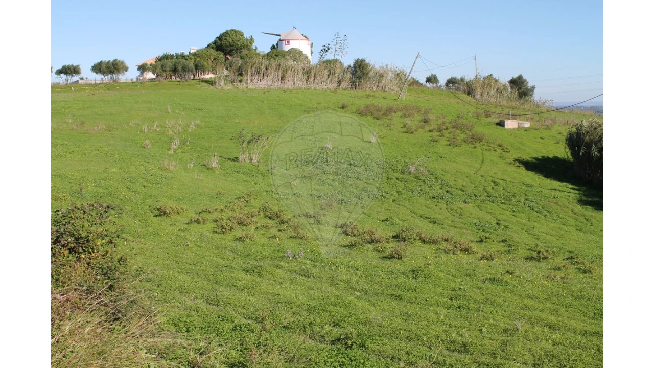 Terreno para Venda em Aveiras de Baixo Foto 8