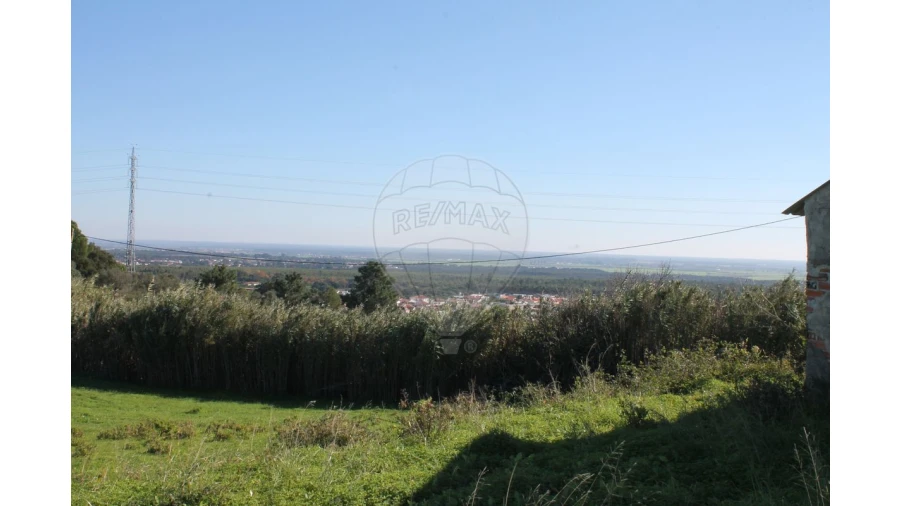 Terreno para Venda em Aveiras de Baixo Foto 4