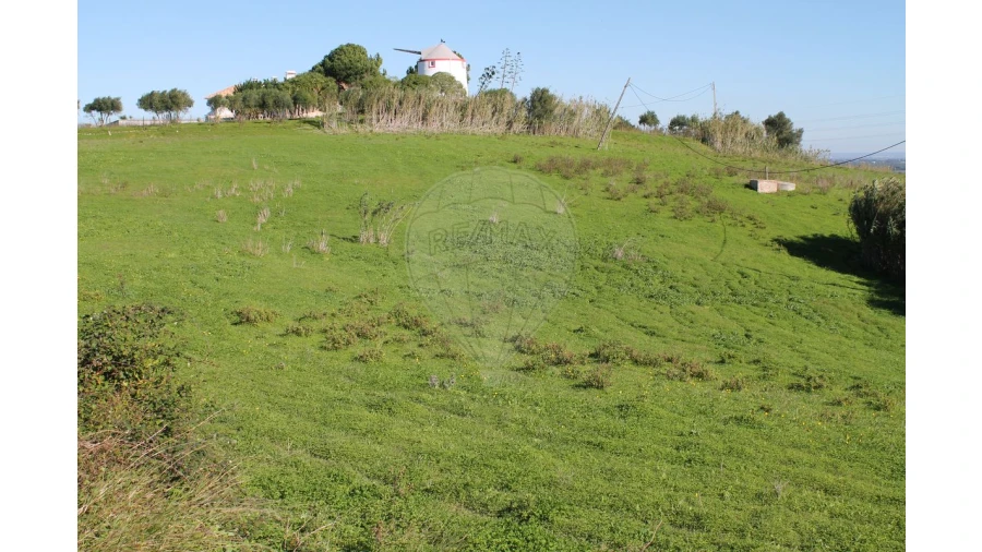 Terreno para Venda em Aveiras de Baixo Foto 8