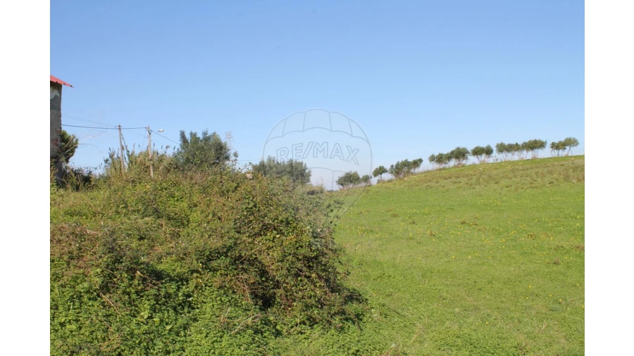 Terreno para Venda em Aveiras de Baixo Foto 13