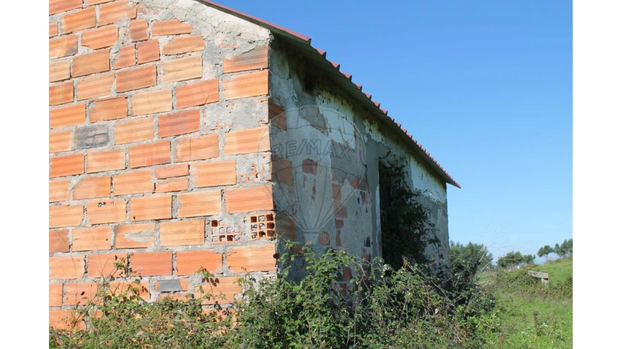 Terreno para Venda em Aveiras de Baixo Foto 7