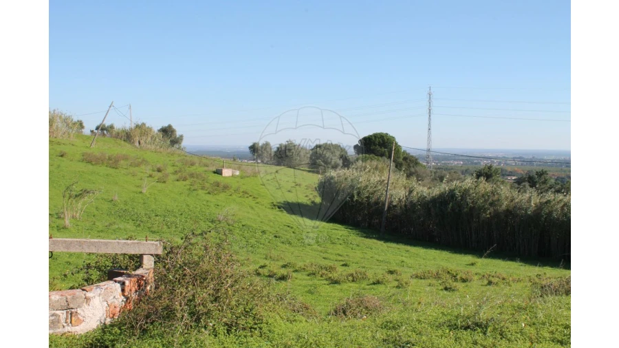 Terreno para Venda em Aveiras de Baixo Foto 5