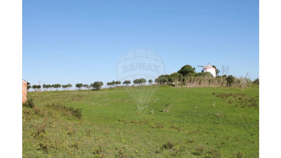 Terreno para Venda em Aveiras de Baixo Foto 20