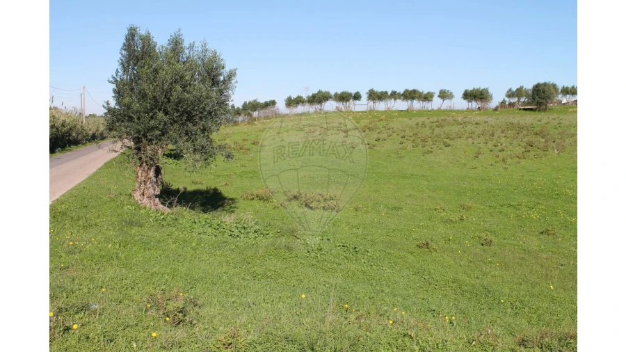Terreno para Venda em Aveiras de Baixo Foto 6