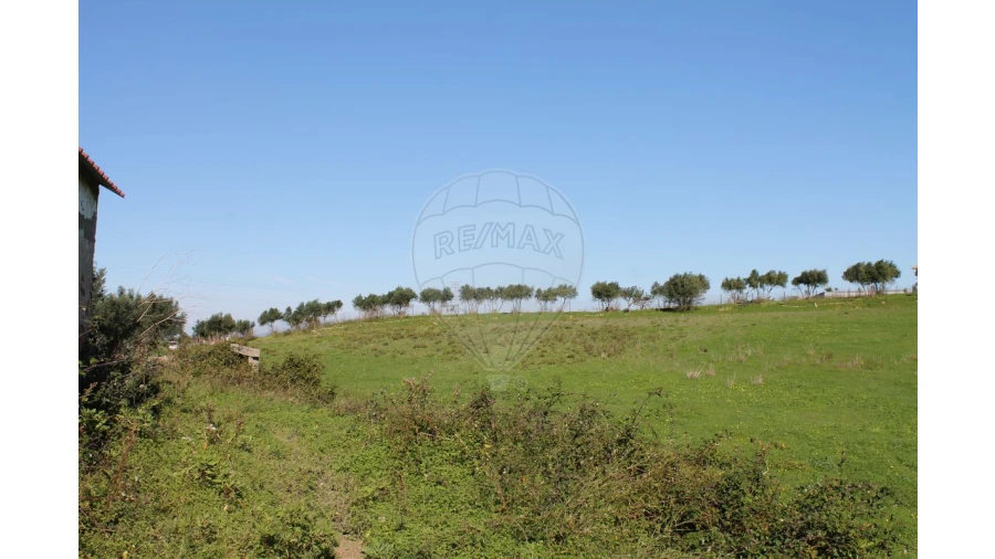 Terreno para Venda em Aveiras de Baixo Foto 11