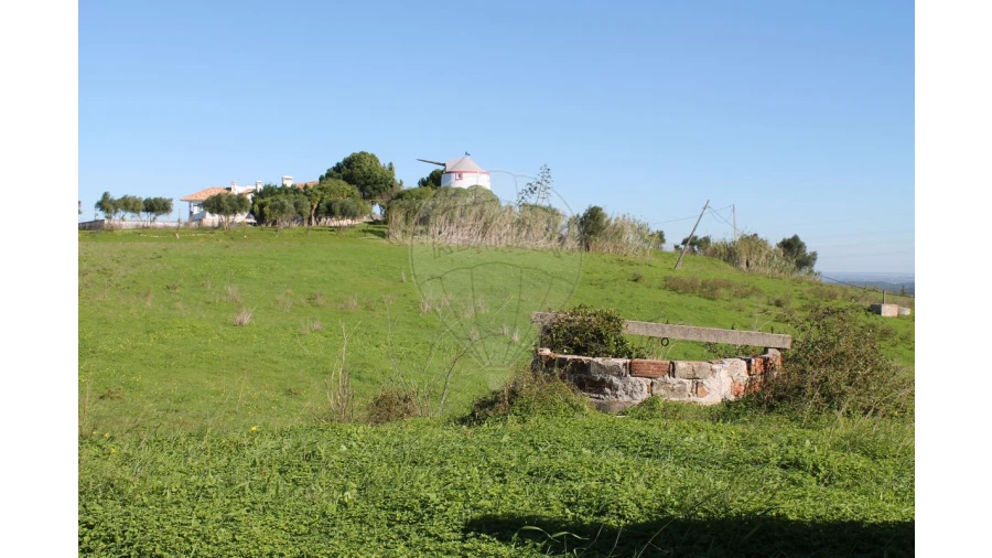 Terreno para Venda em Aveiras de Baixo