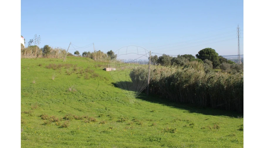 Terreno para Venda em Aveiras de Baixo Foto 9