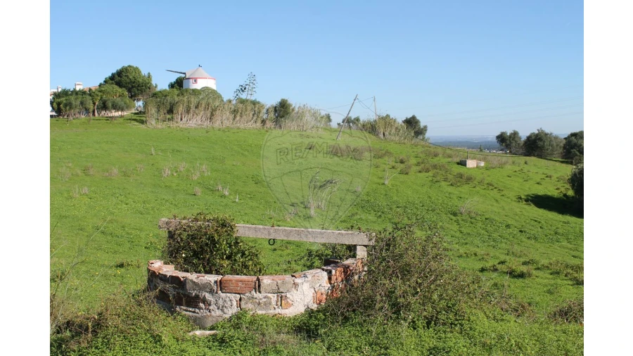 Terreno para Venda em Aveiras de Baixo Foto 3