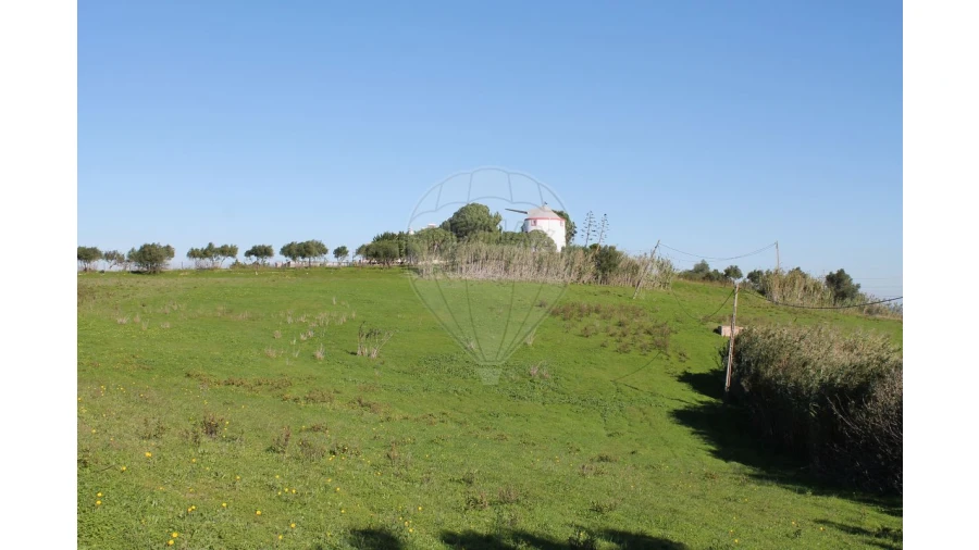 Terreno para Venda em Aveiras de Baixo Foto 21