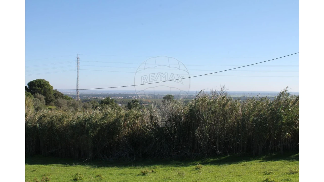 Terreno para Venda em Aveiras de Baixo Foto 10