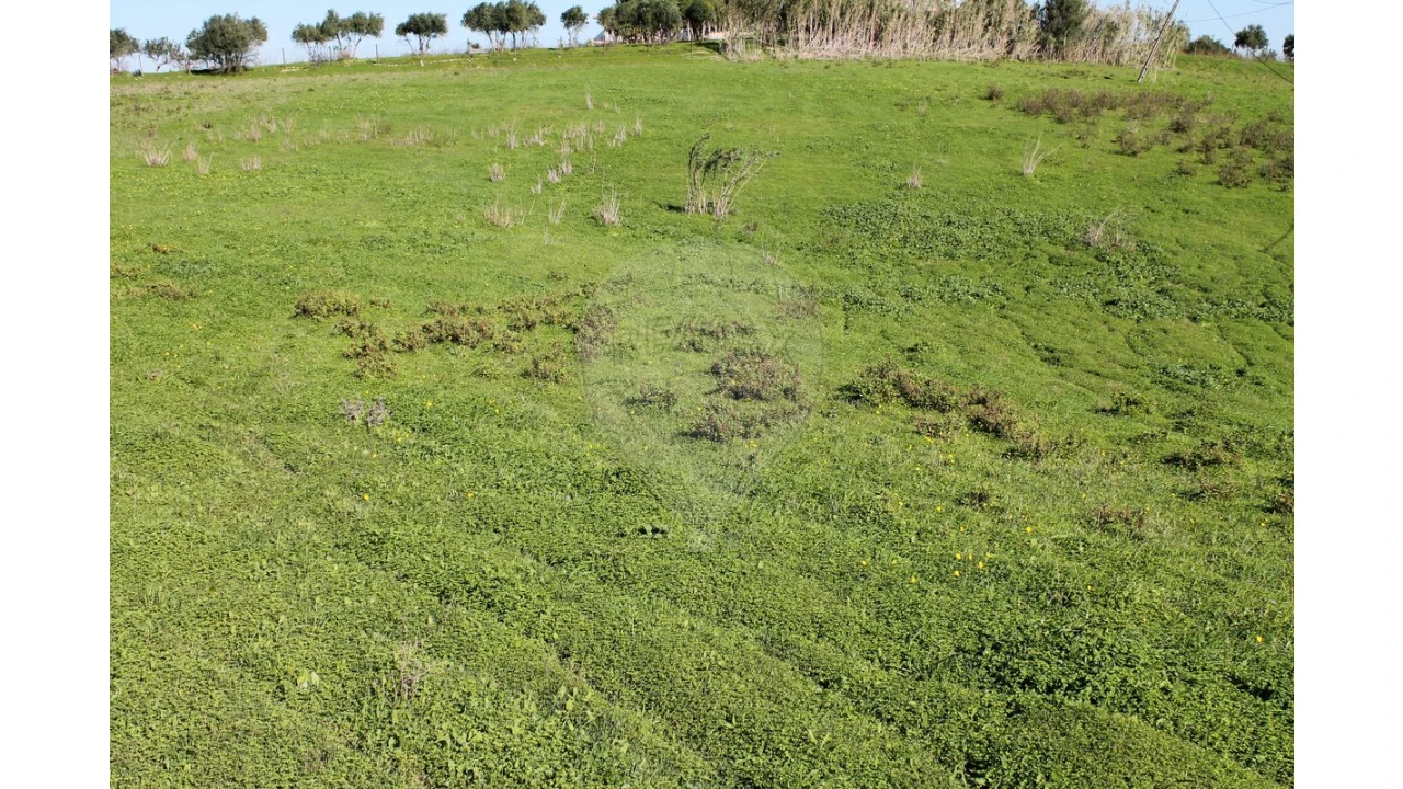 Terreno para Venda em Aveiras de Baixo Foto 18