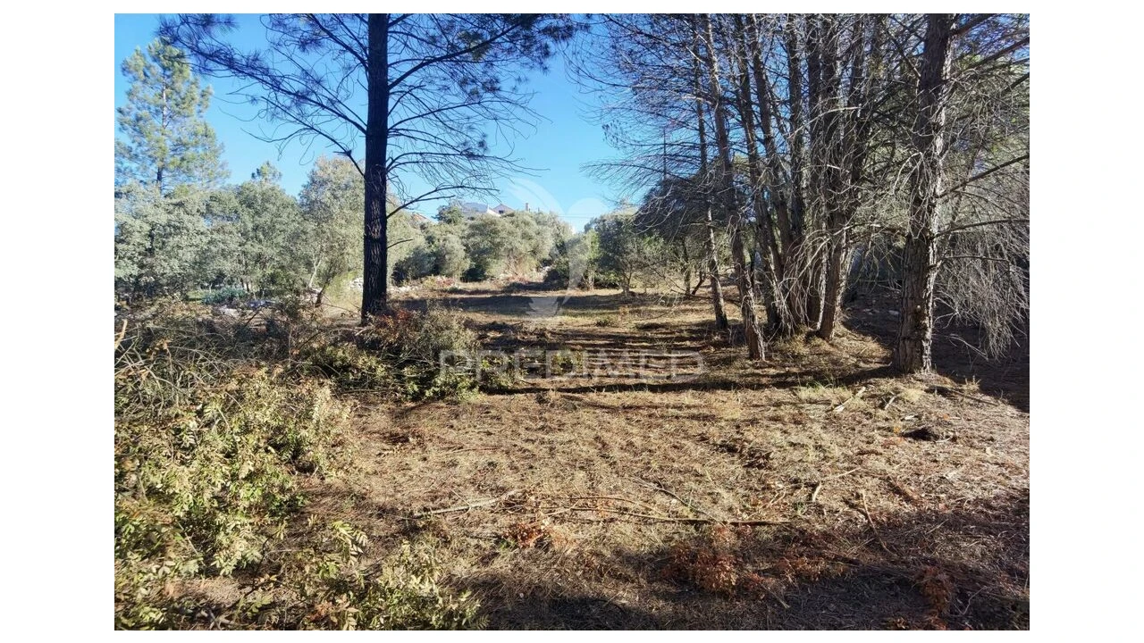 Terreno para Venda em Minde Foto 11