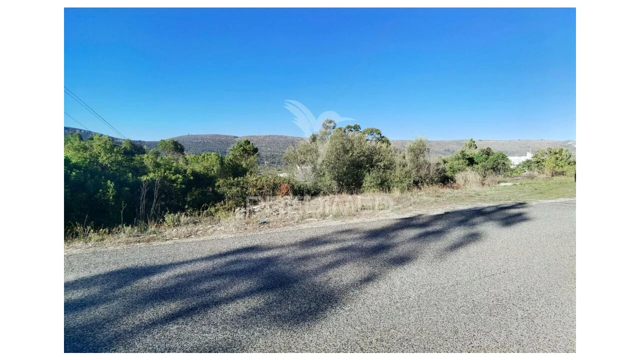 Terreno para Venda em Minde Foto 5