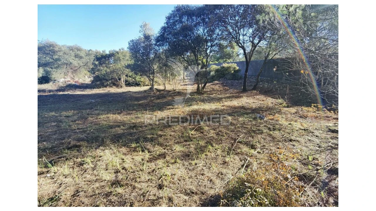 Terreno para Venda em Minde Foto 12