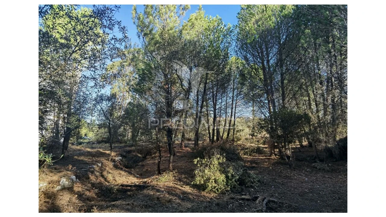 Terreno para Venda em Minde Foto 9