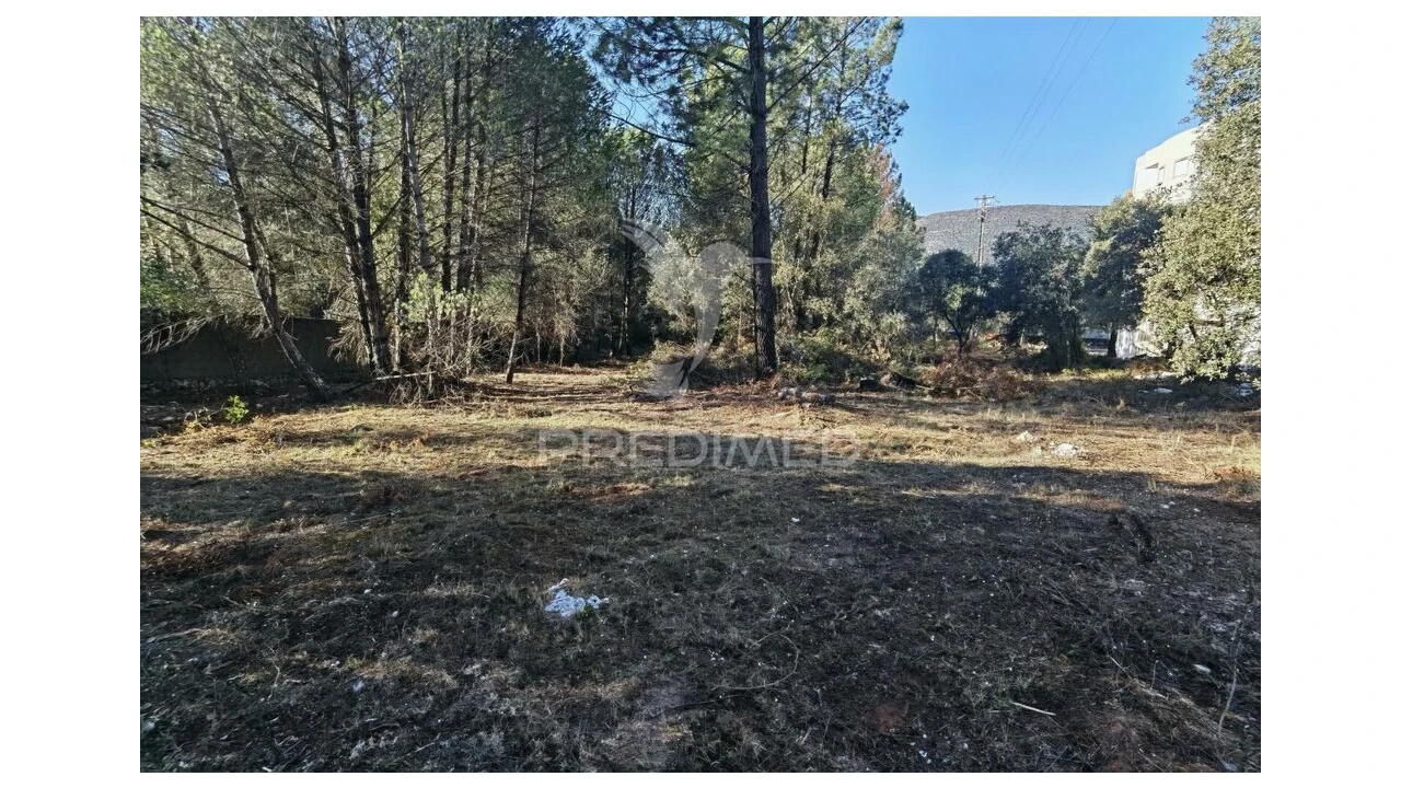 Terreno para Venda em Minde Foto 17