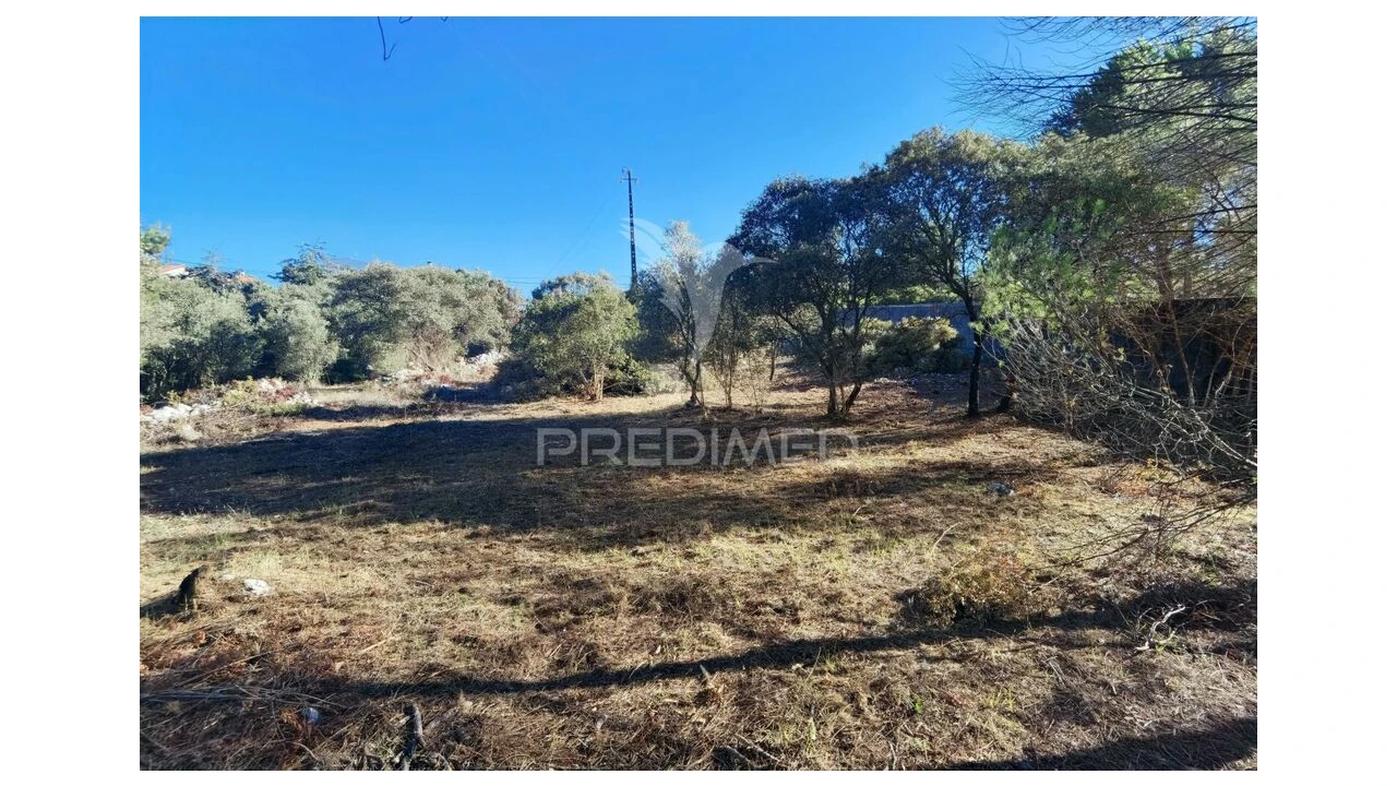 Terreno para Venda em Minde Foto 19