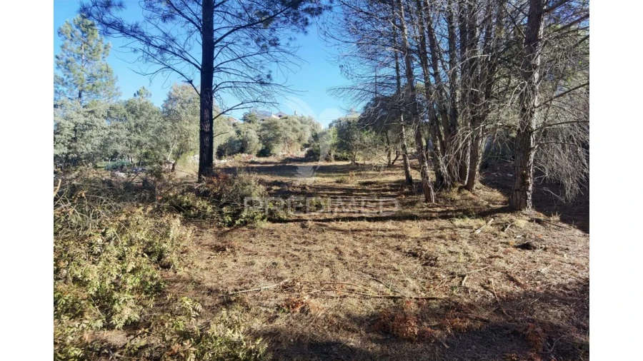 Terreno para Venda em Minde Foto 11