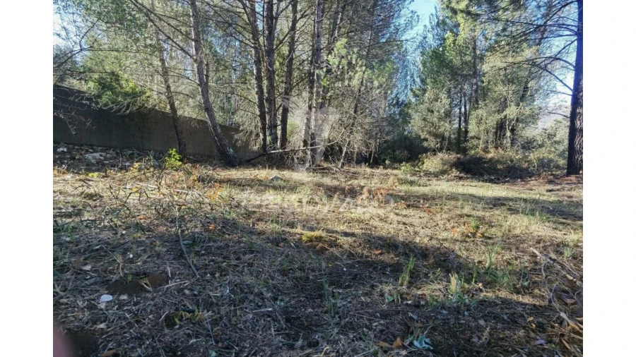 Terreno para Venda em Minde Foto 18