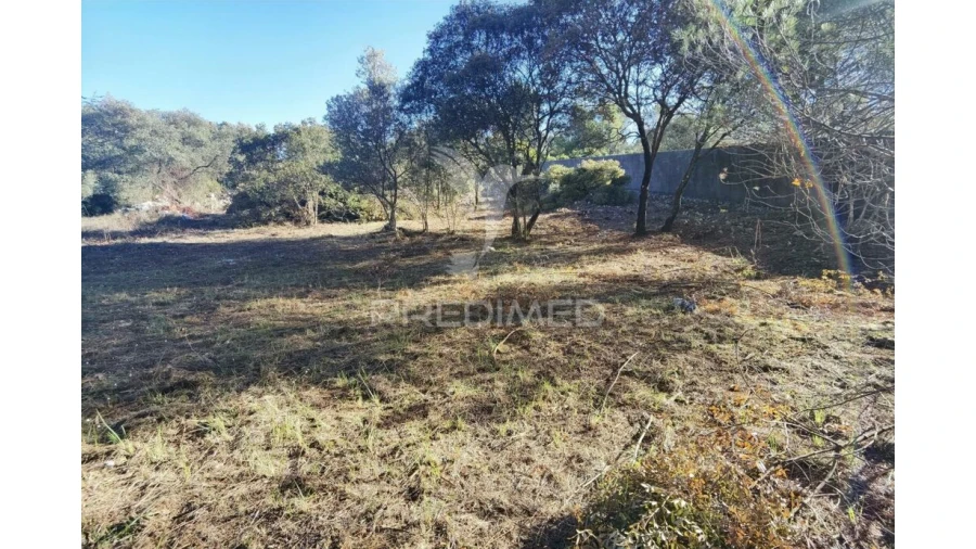 Terreno para Venda em Minde Foto 12
