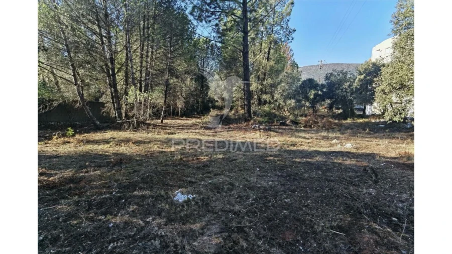 Terreno para Venda em Minde Foto 17