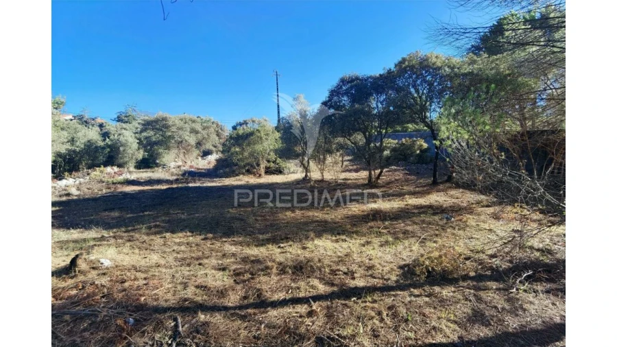 Terreno para Venda em Minde Foto 19