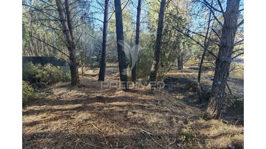 Terreno para Venda em Minde Foto 20